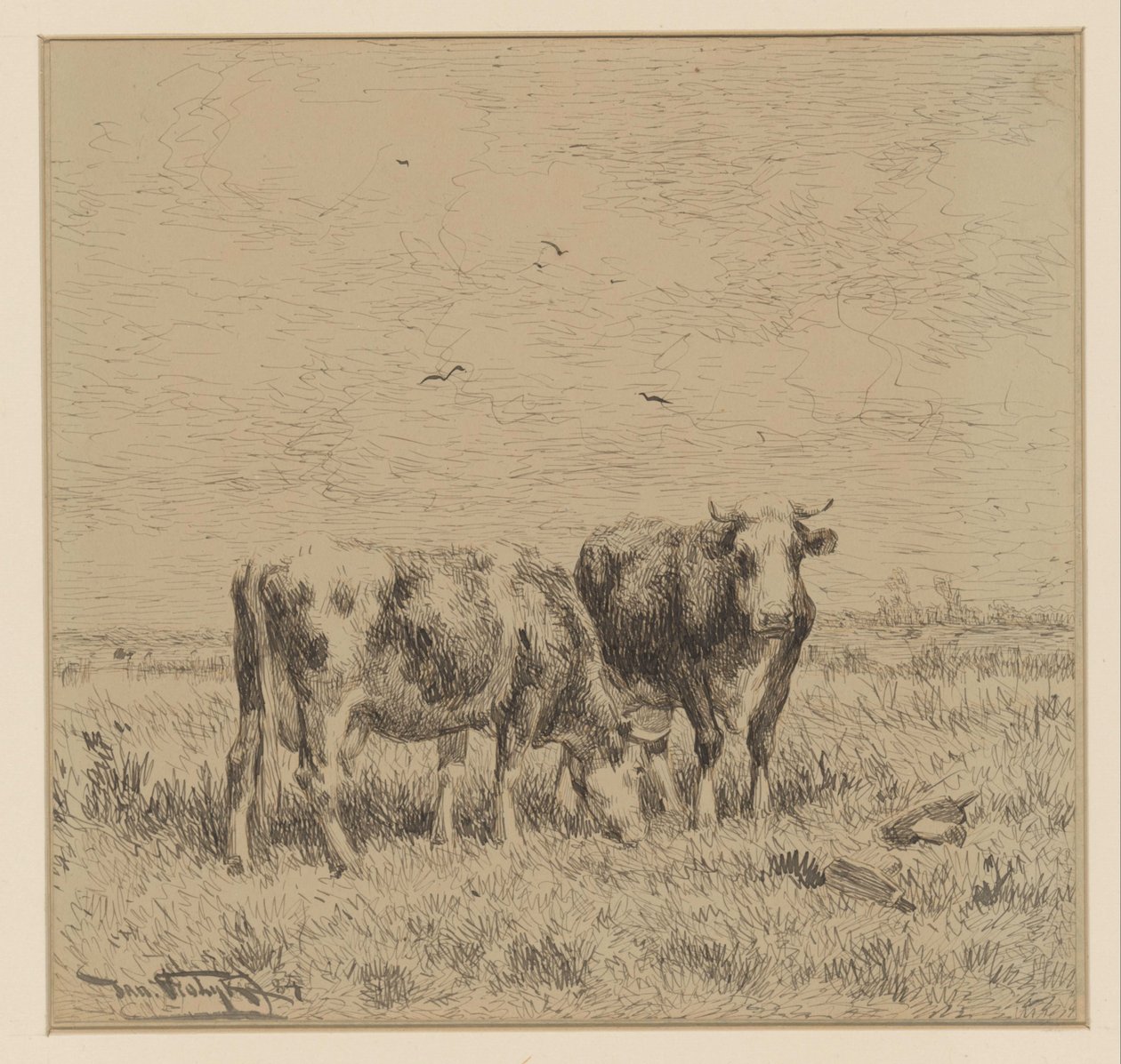Dos vacas en un prado de Johannes Martinus Vrolijk