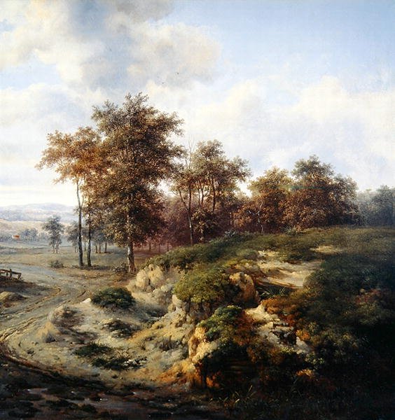 El camino a Sandhugel de Jan Wijnants