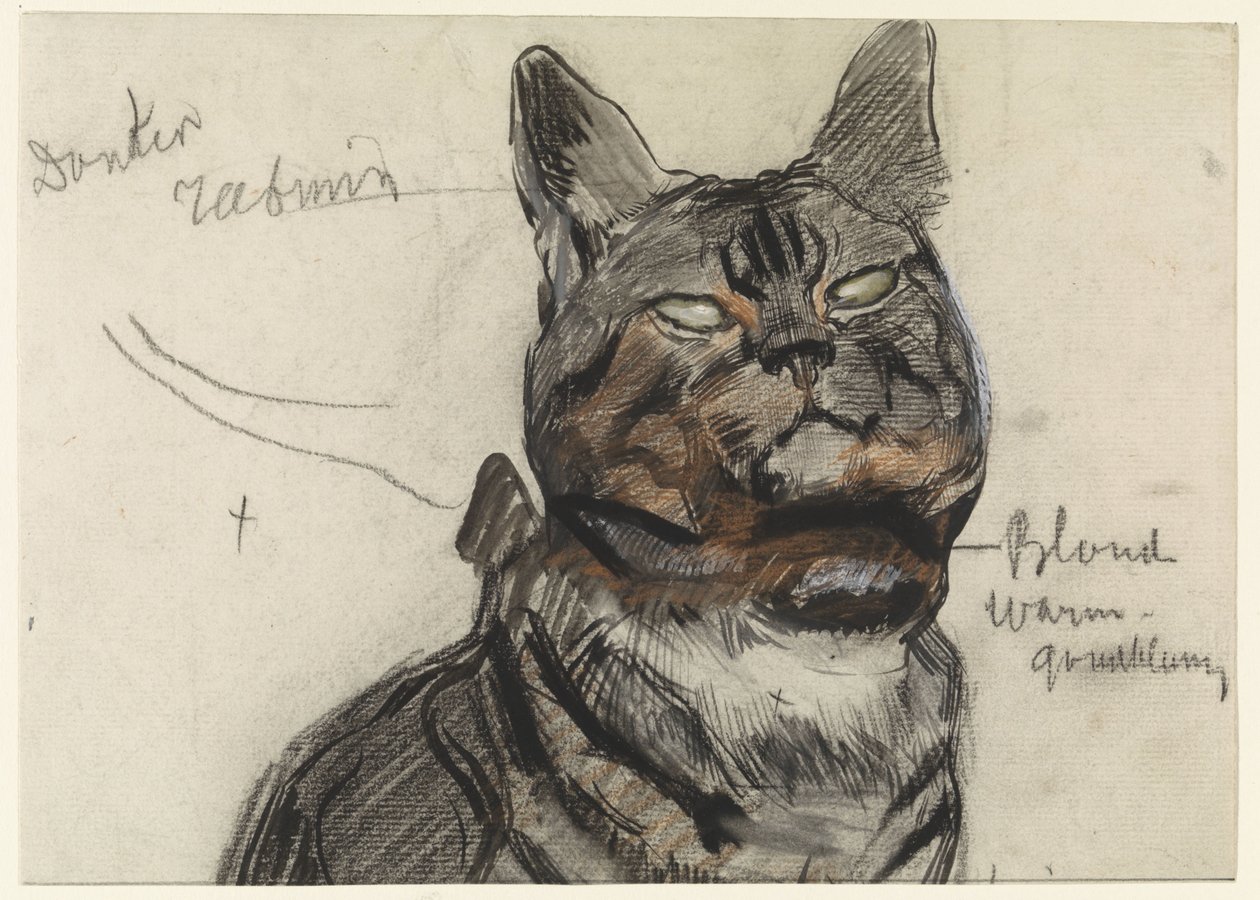 Gato, con notas de color de Jan van Essen