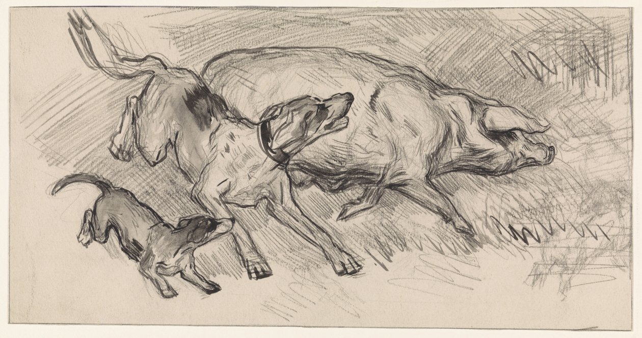 Dos perros persiguiendo a un cerdo de Jan van Essen