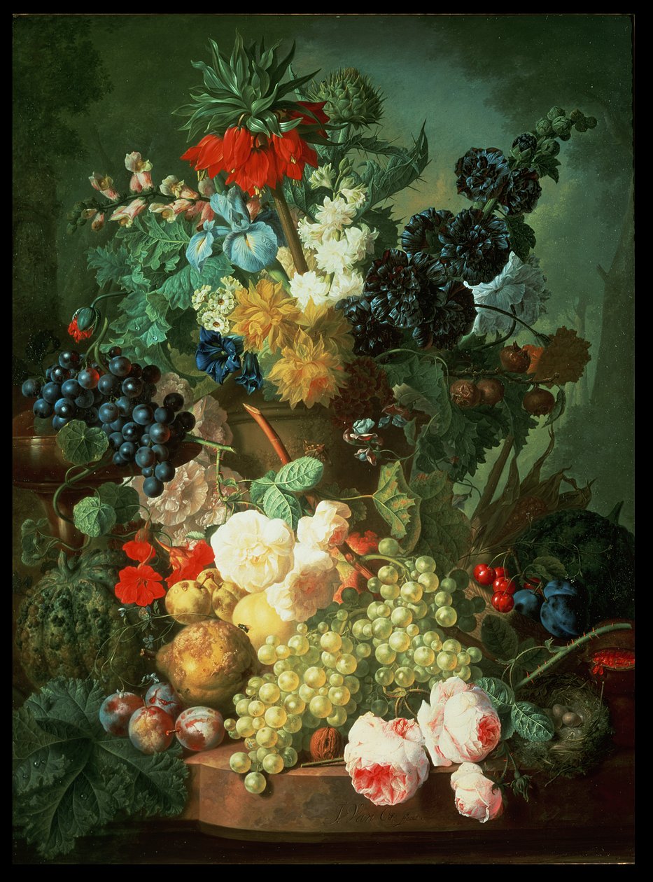 Imagen desconocida de Jan van Os