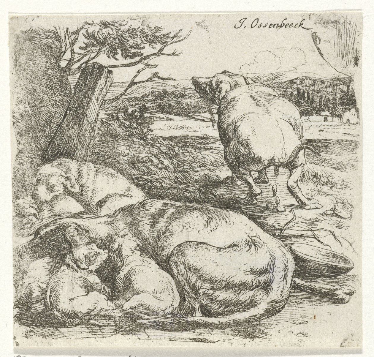 perra con cachorros de Jan van Ossenbeeck
