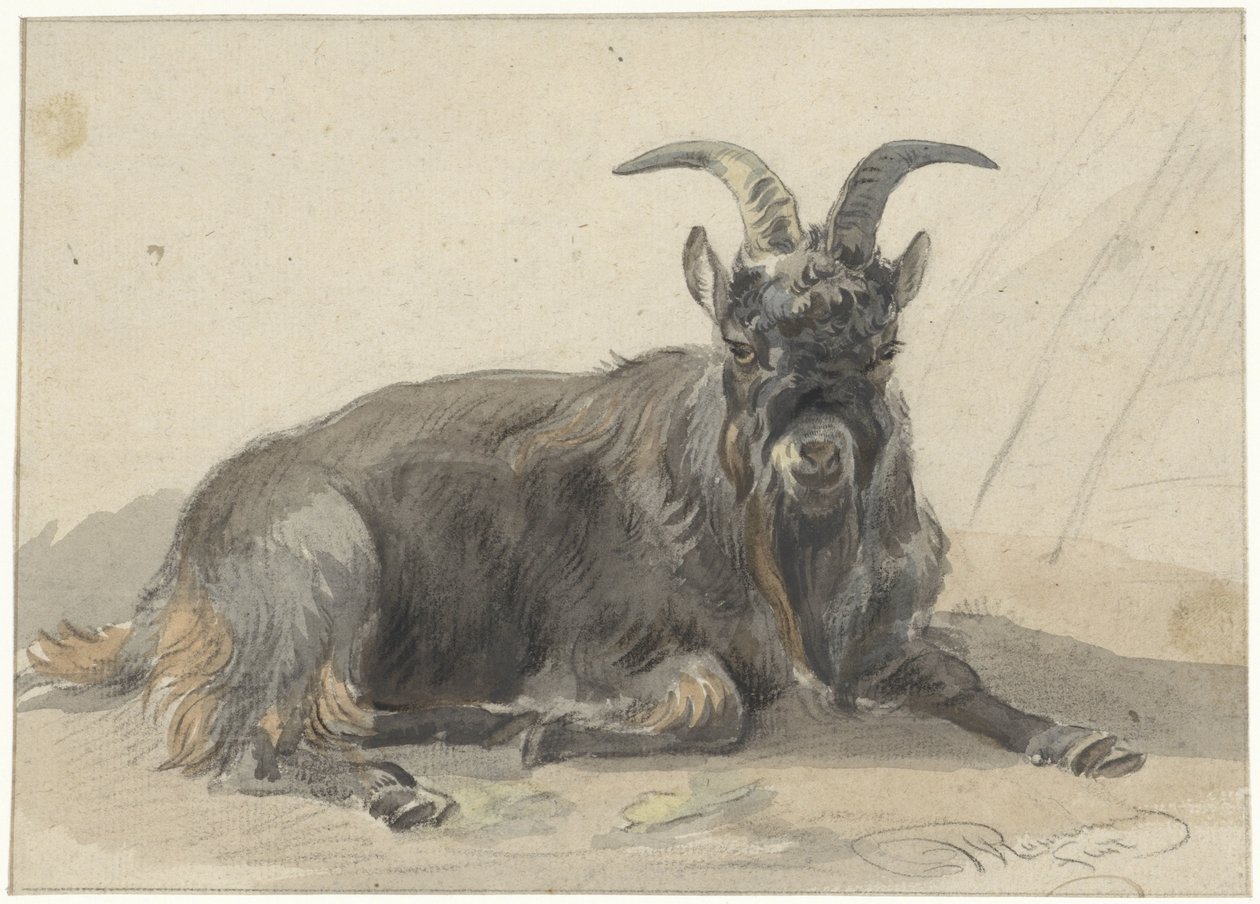 Cabra negra reclinada de Jan van Ravenswaay