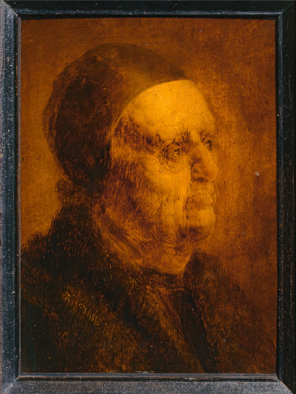 Cabeza de estudio de anciano ... de Jan van de Venne