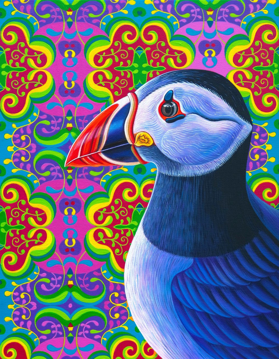 Frailecillo, 2018 de Jane Tattersfield