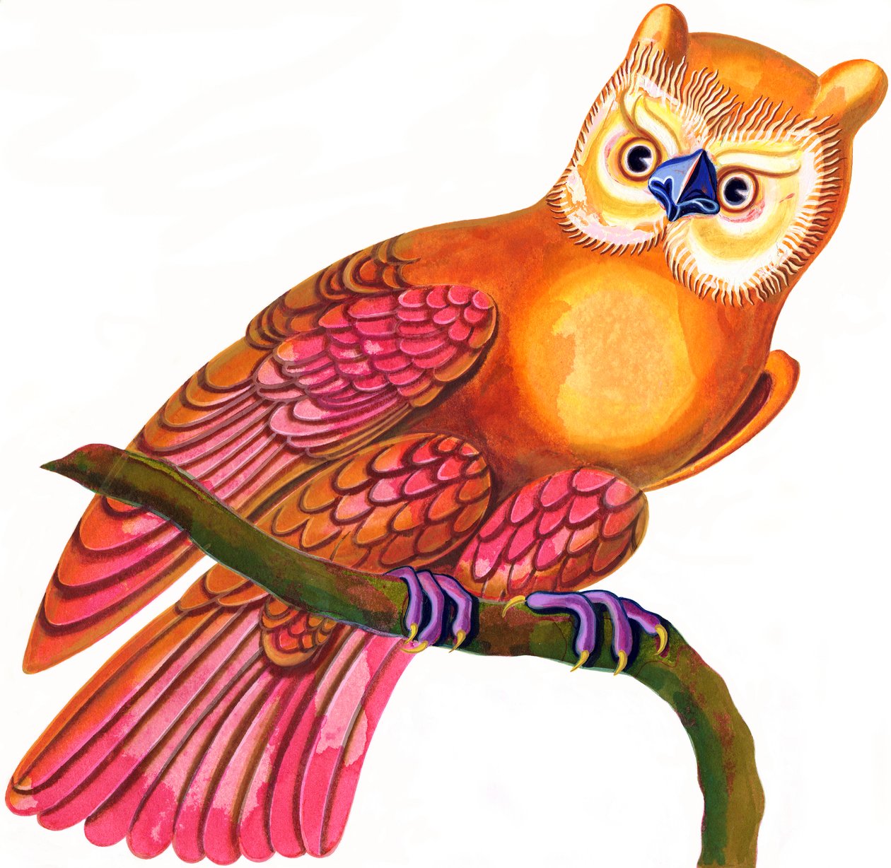 Búho de Jane Tattersfield