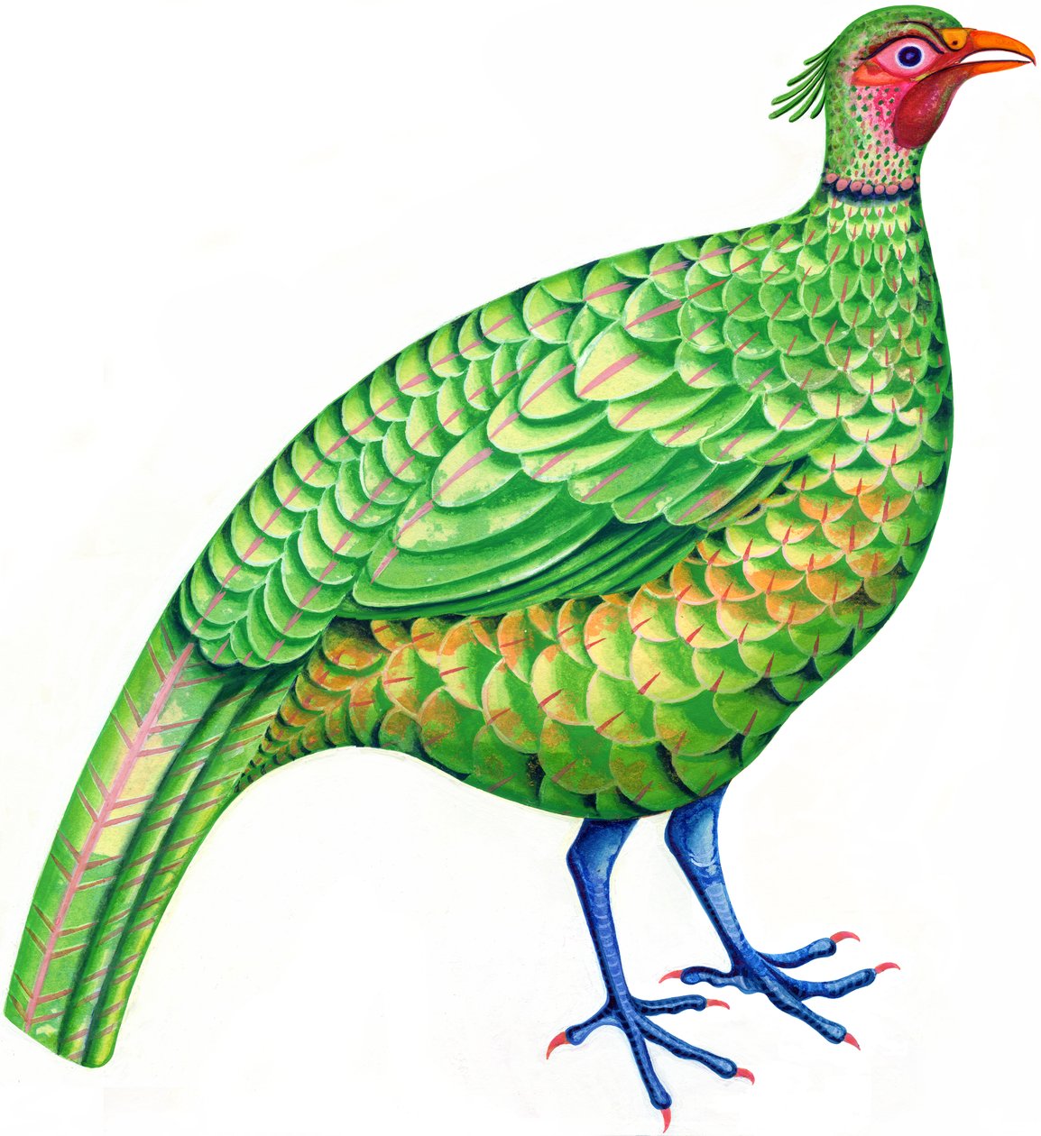 Faisán de Jane Tattersfield