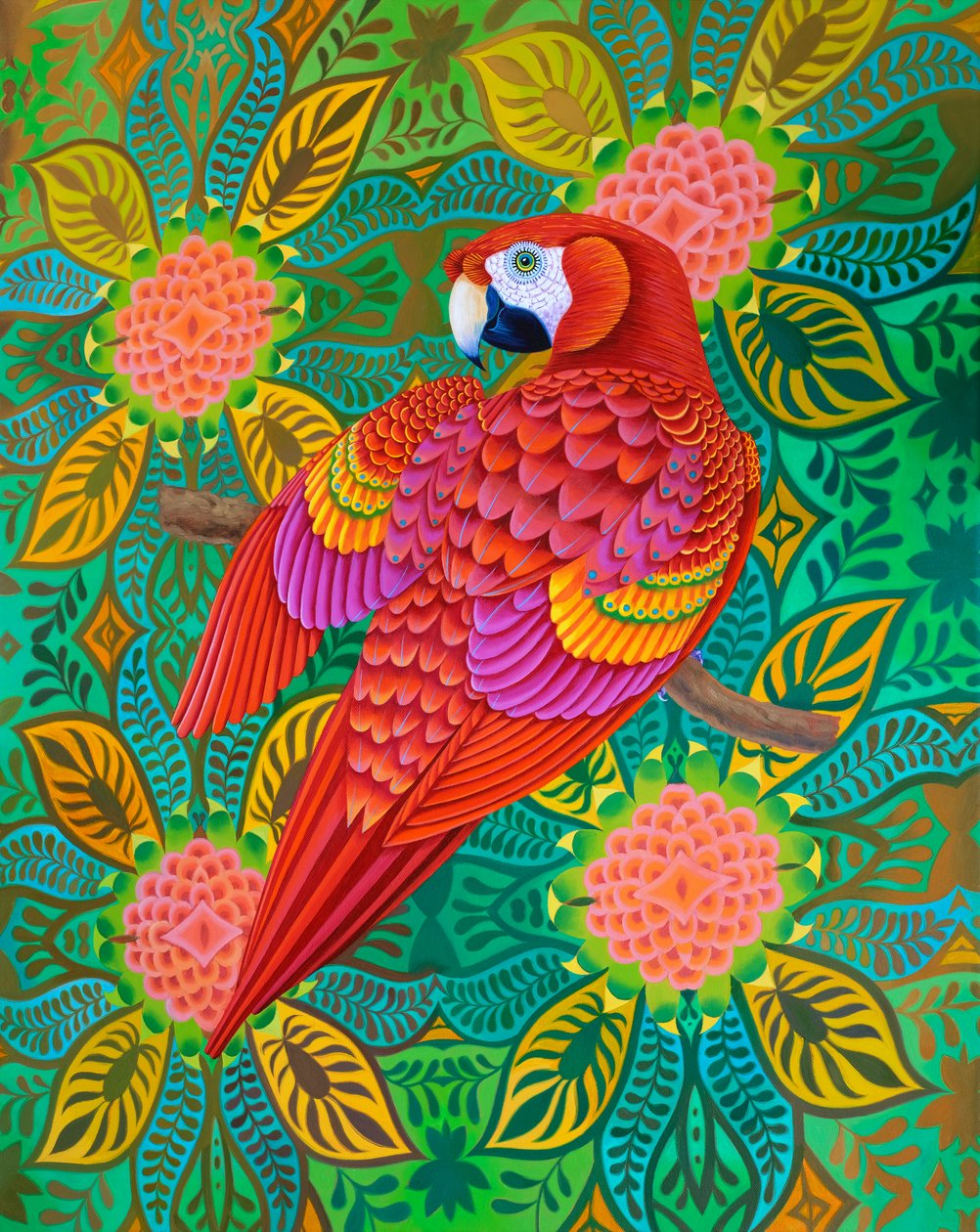 Loro rojo, 2021 de Jane Tattersfield