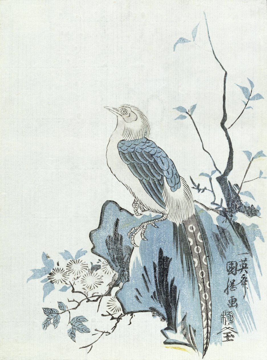 Pájaro en una roca de Japanese School