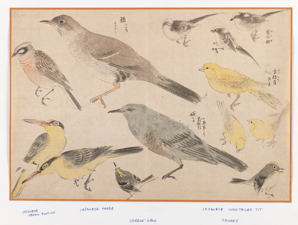Pájaros en estilo Okyo de Japanese School