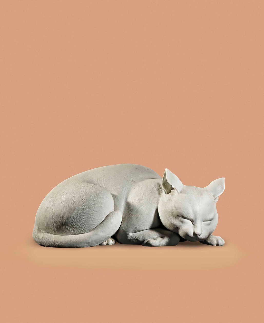 Gato de Japanese School