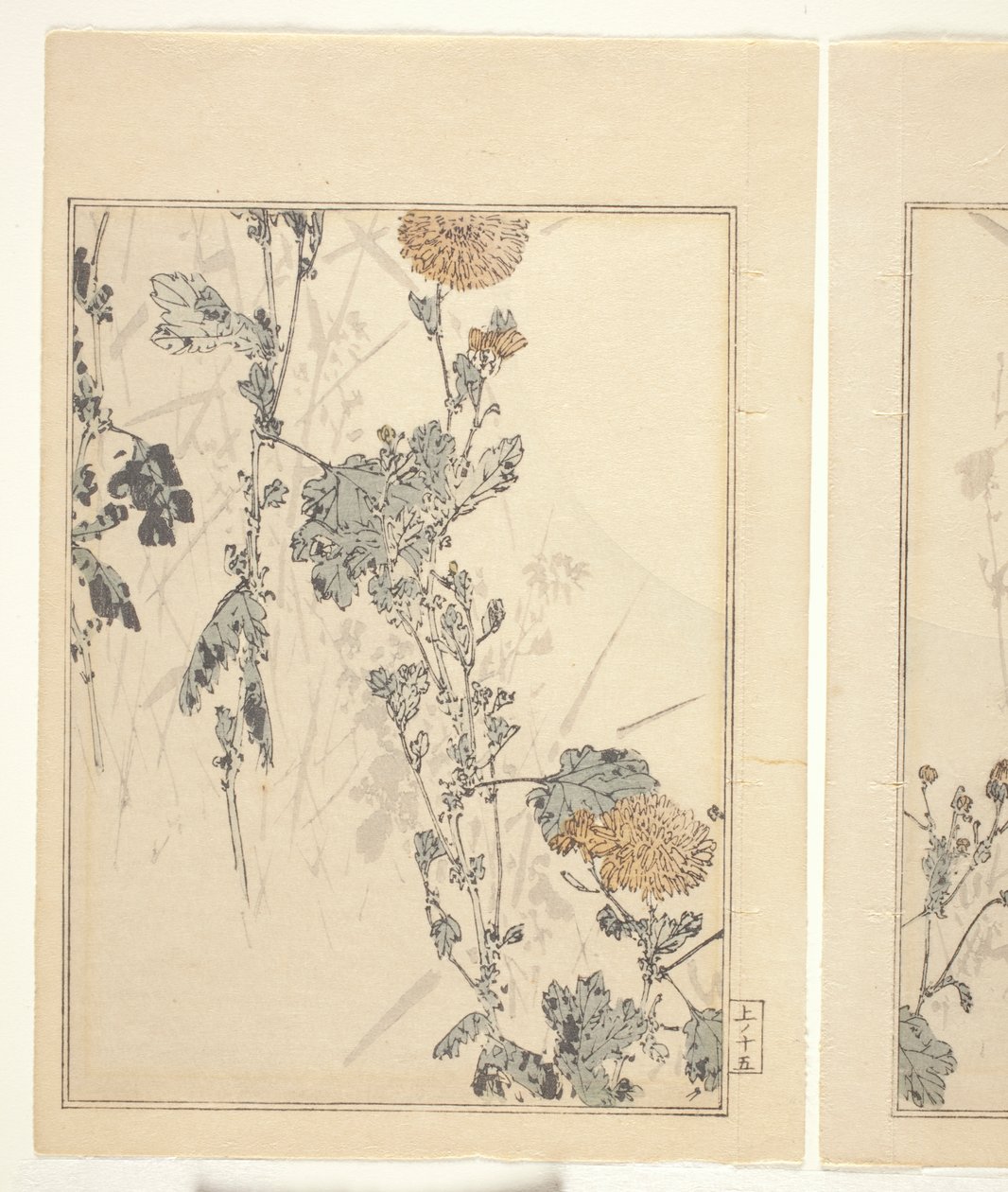Crisantemos (xilografía en color) (véase también 374401) de Japanese School
