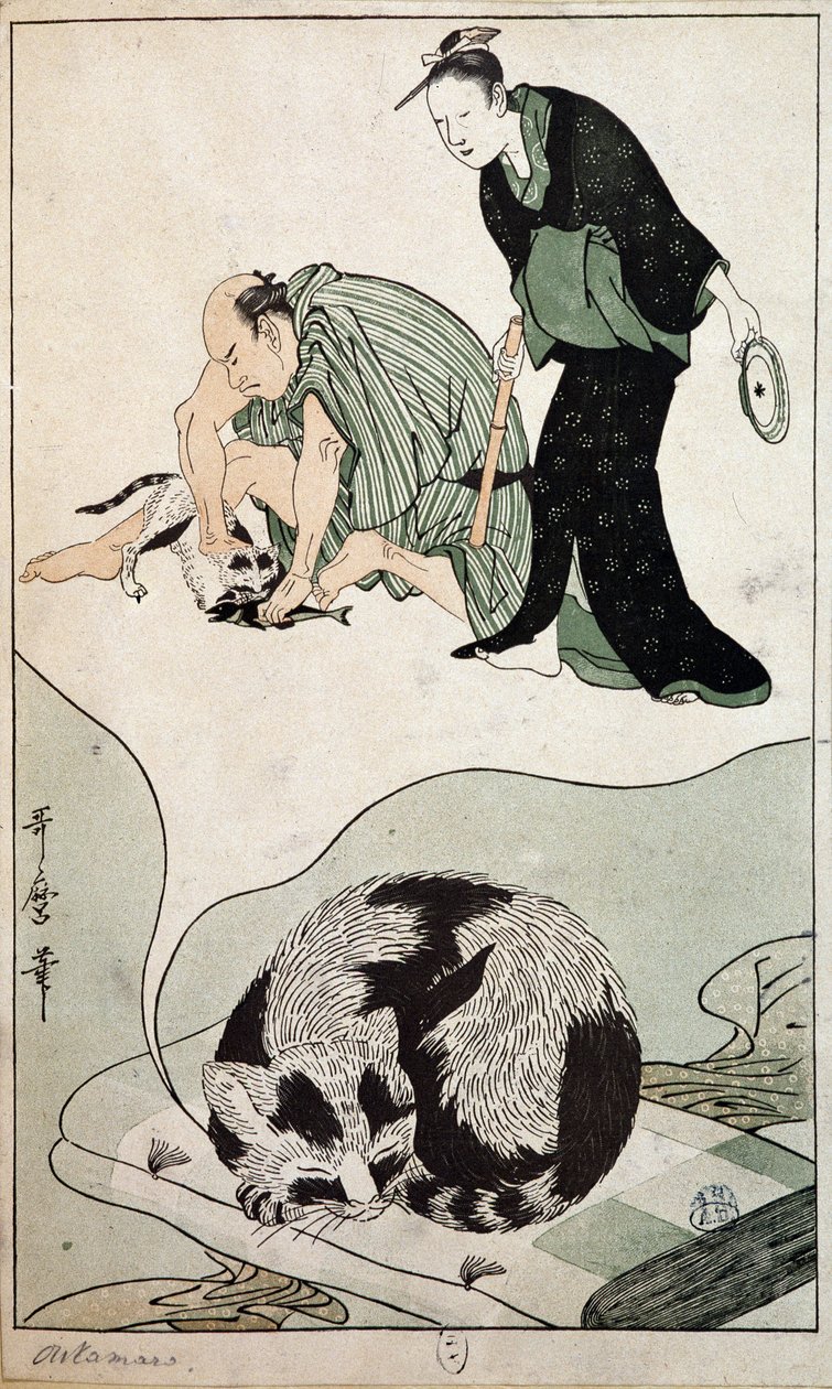 Gato soñador - Japón de Japanese School