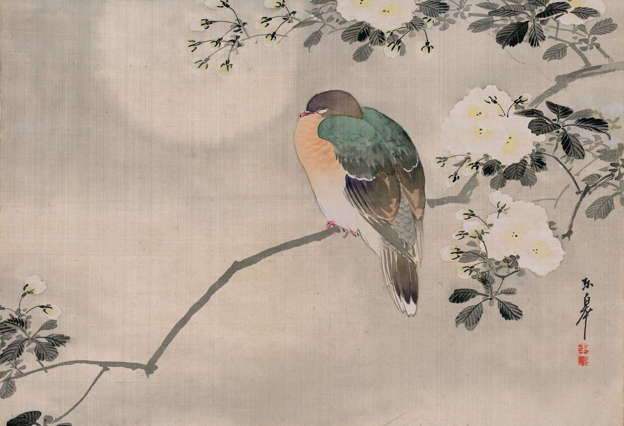 Pintura Japonesa de Seda de una Paloma Torcaz de Japanese School