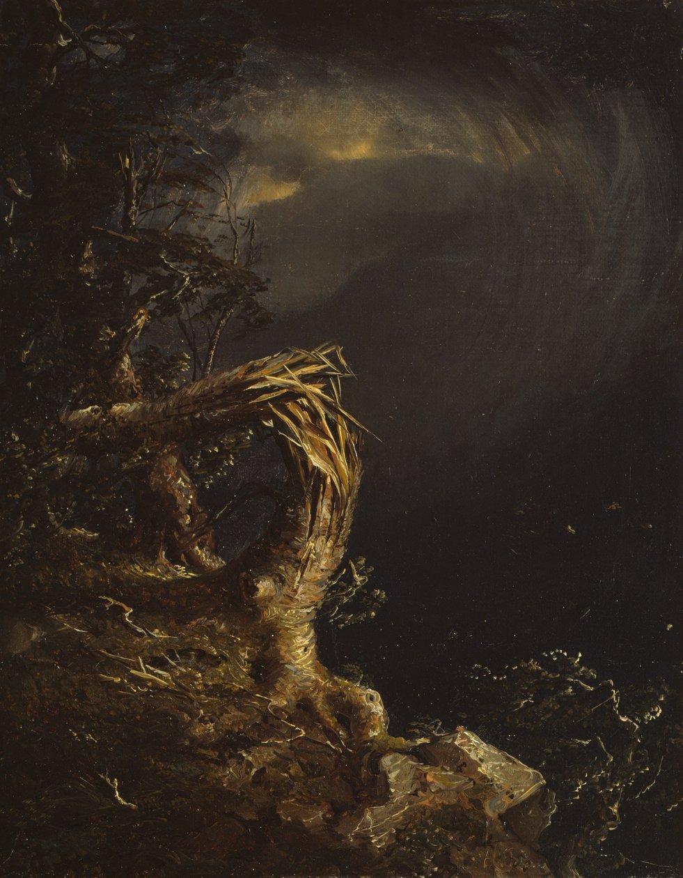 Árbol arrasado, 1850 de Jasper Francis Cropsey