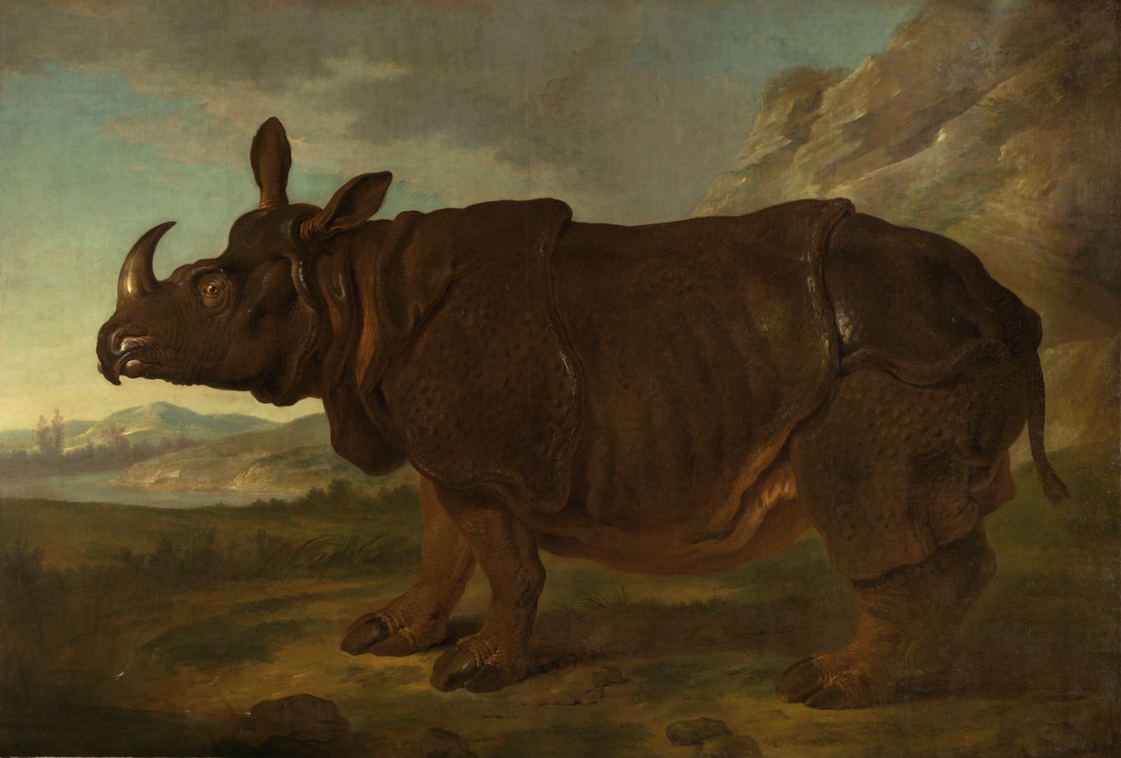 Clara el rinoceronte en París en 1749 de Jean Baptiste Oudry