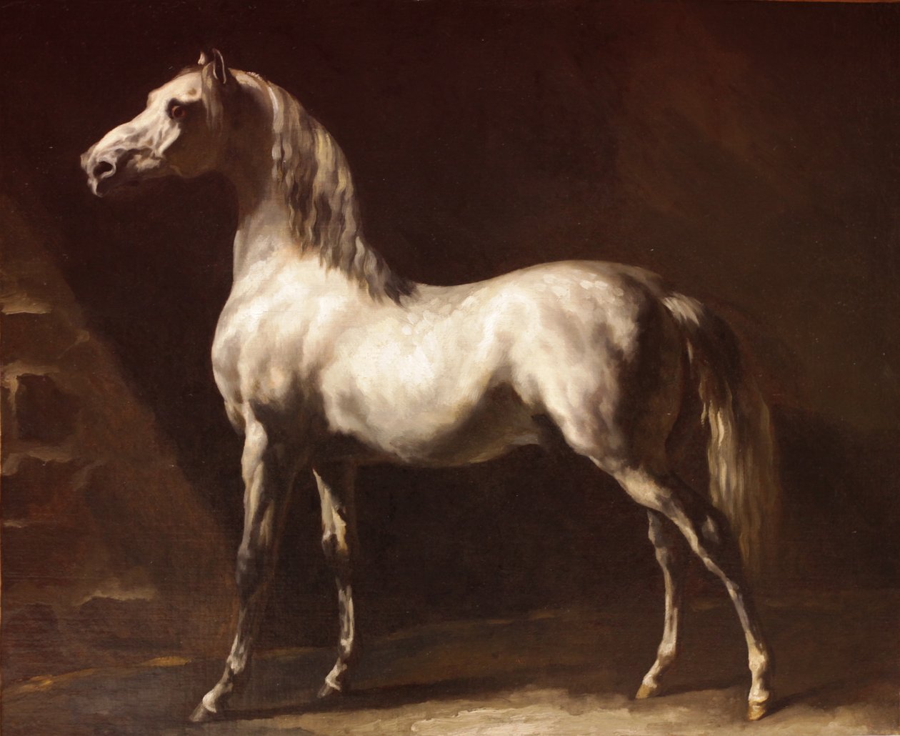 Caballo árabe gris-blanco de Theodore Gericault
