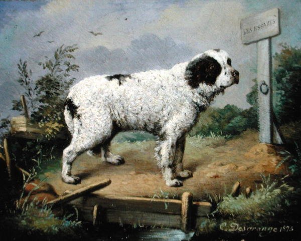 Un Terranova en un terraplén de Jean Baptiste Desgrange