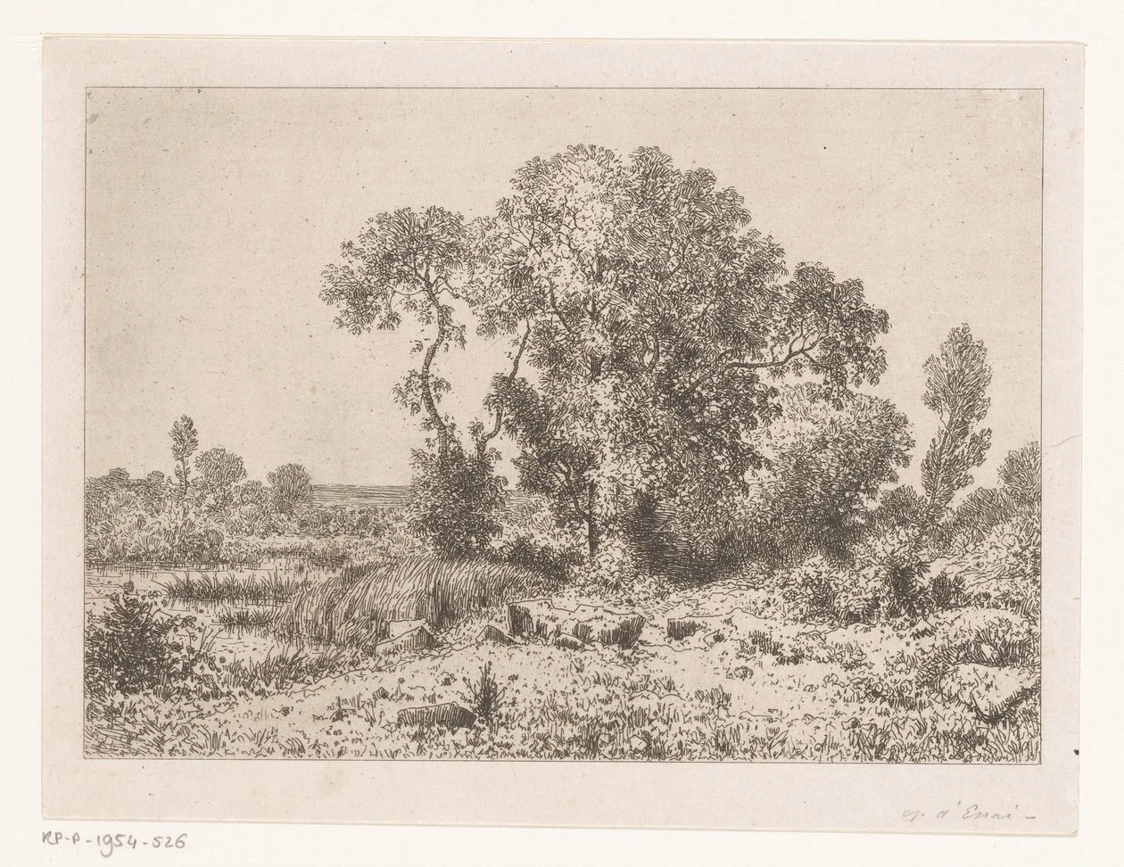 Grupo de árboles en un pantano de Jean Alexis Achard