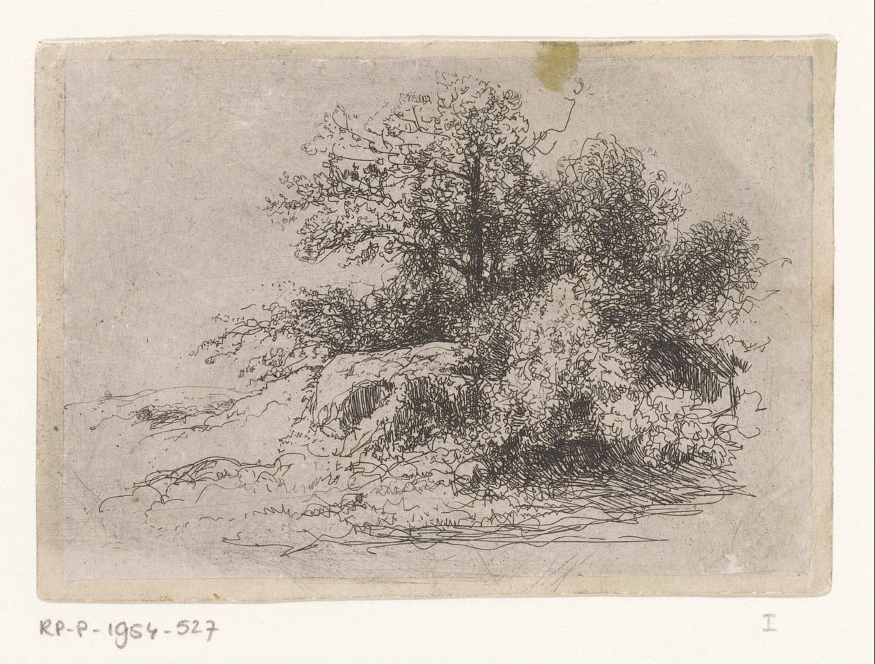 matorrales de Jean Alexis Achard