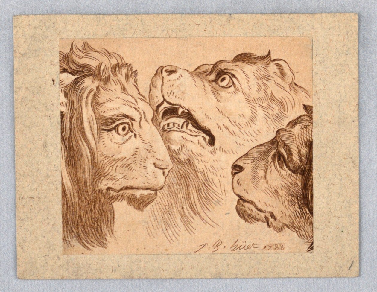 Tres cabezas de león de Jean Baptiste Huet
