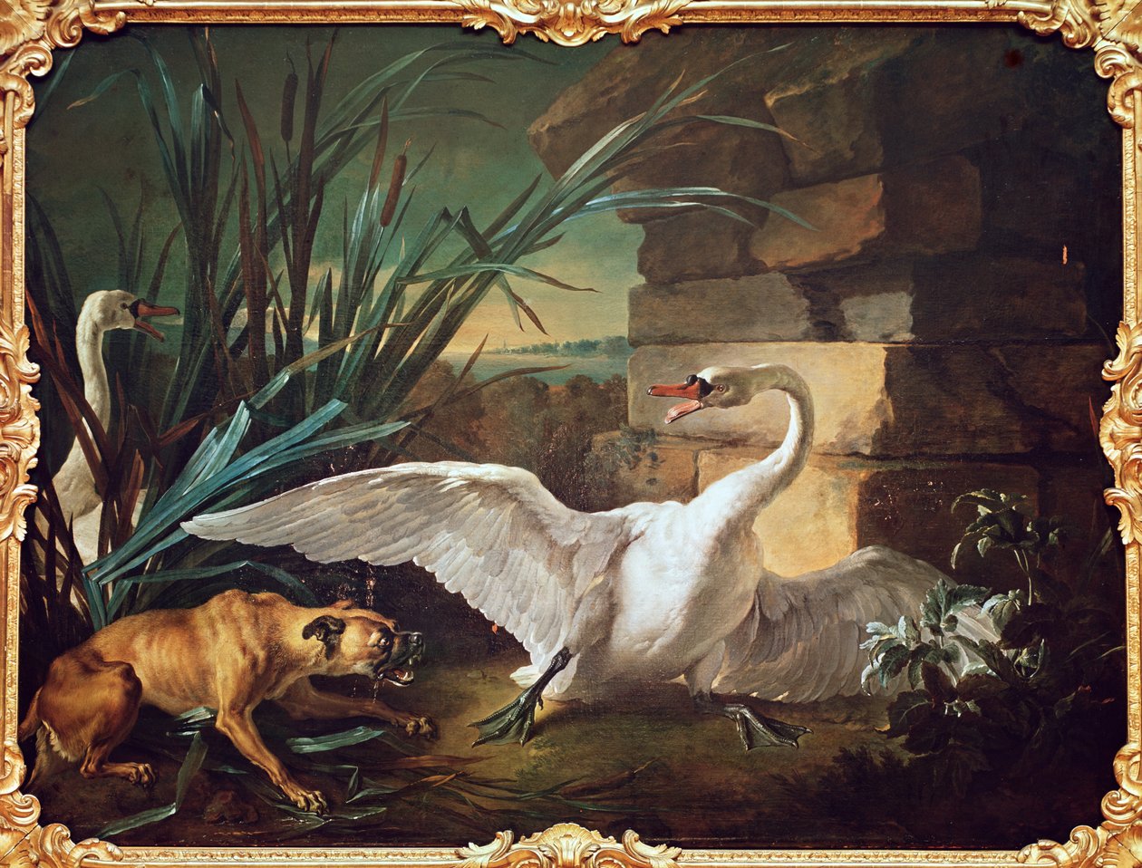 Perro y cisnes de Jean Baptiste Oudry