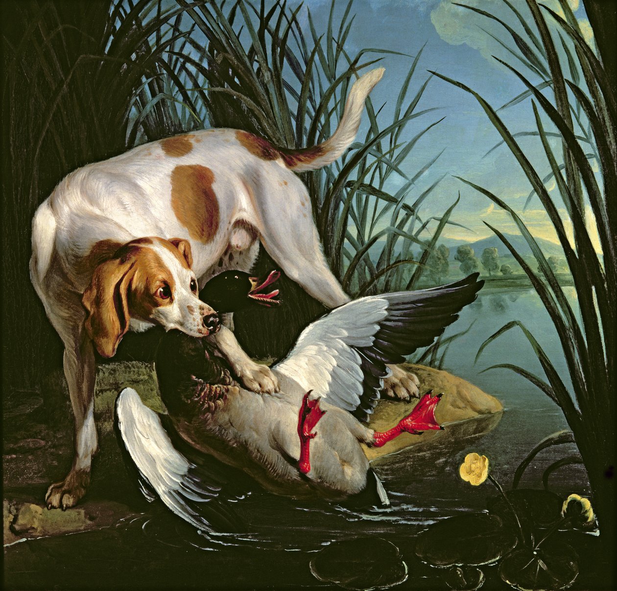 Perro con un Pato Salvaje de Jean Baptiste Oudry