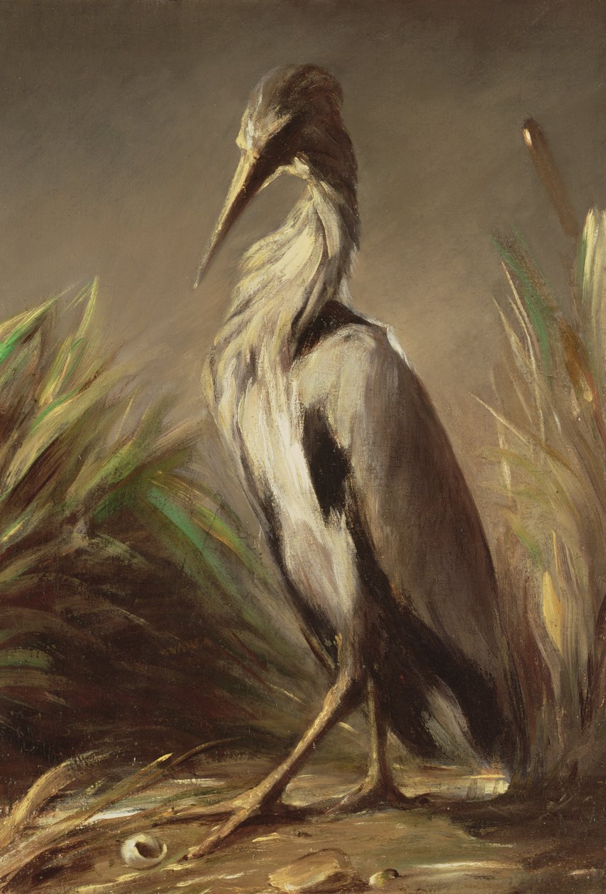 Imagen Desconocida de Jean Baptiste Oudry