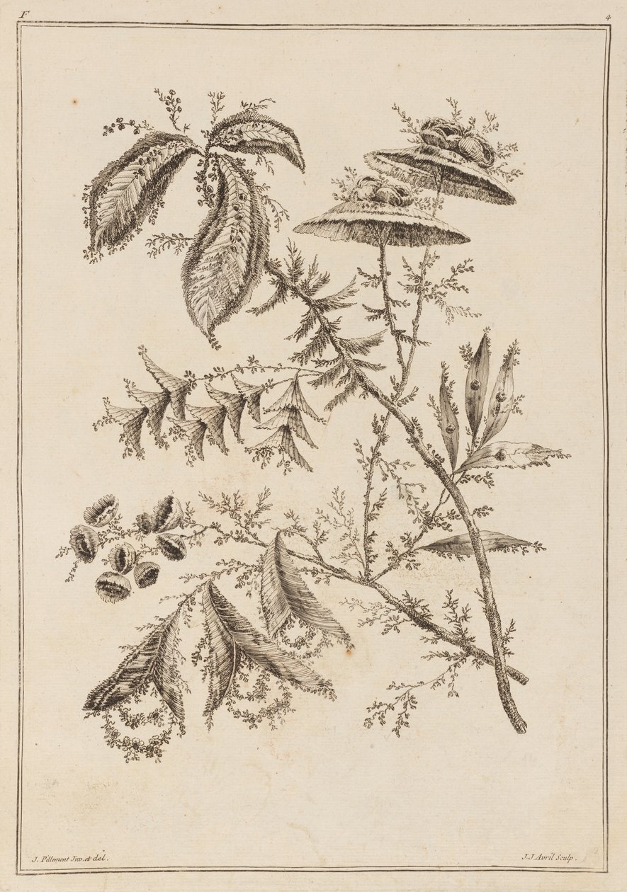 Rama de flores de Jean Baptiste Pillement