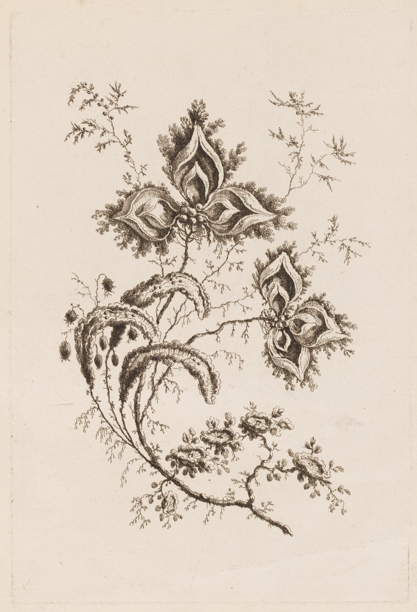 Rama de Flores, de "Fleures Persannes" de Jean Baptiste Pillement