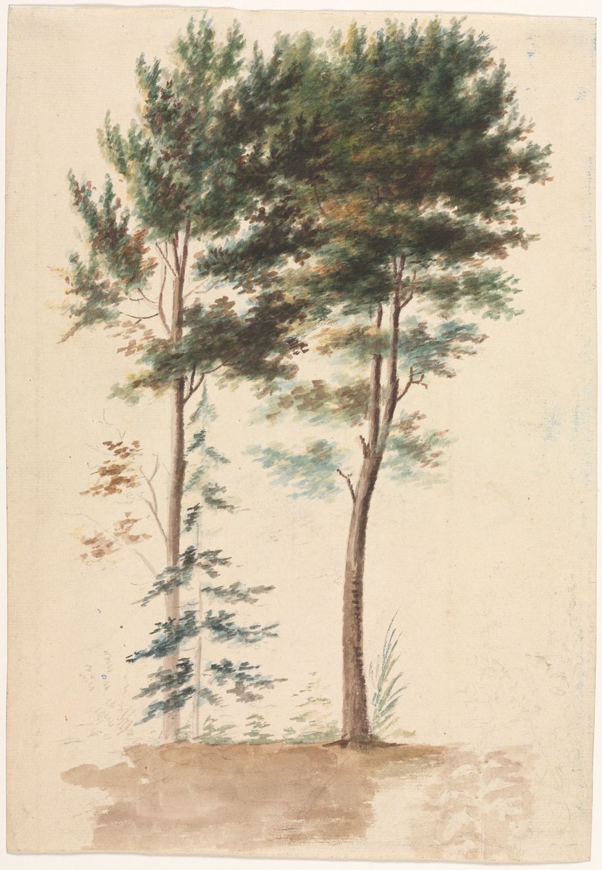 Trees de Jean Baptiste Pillement