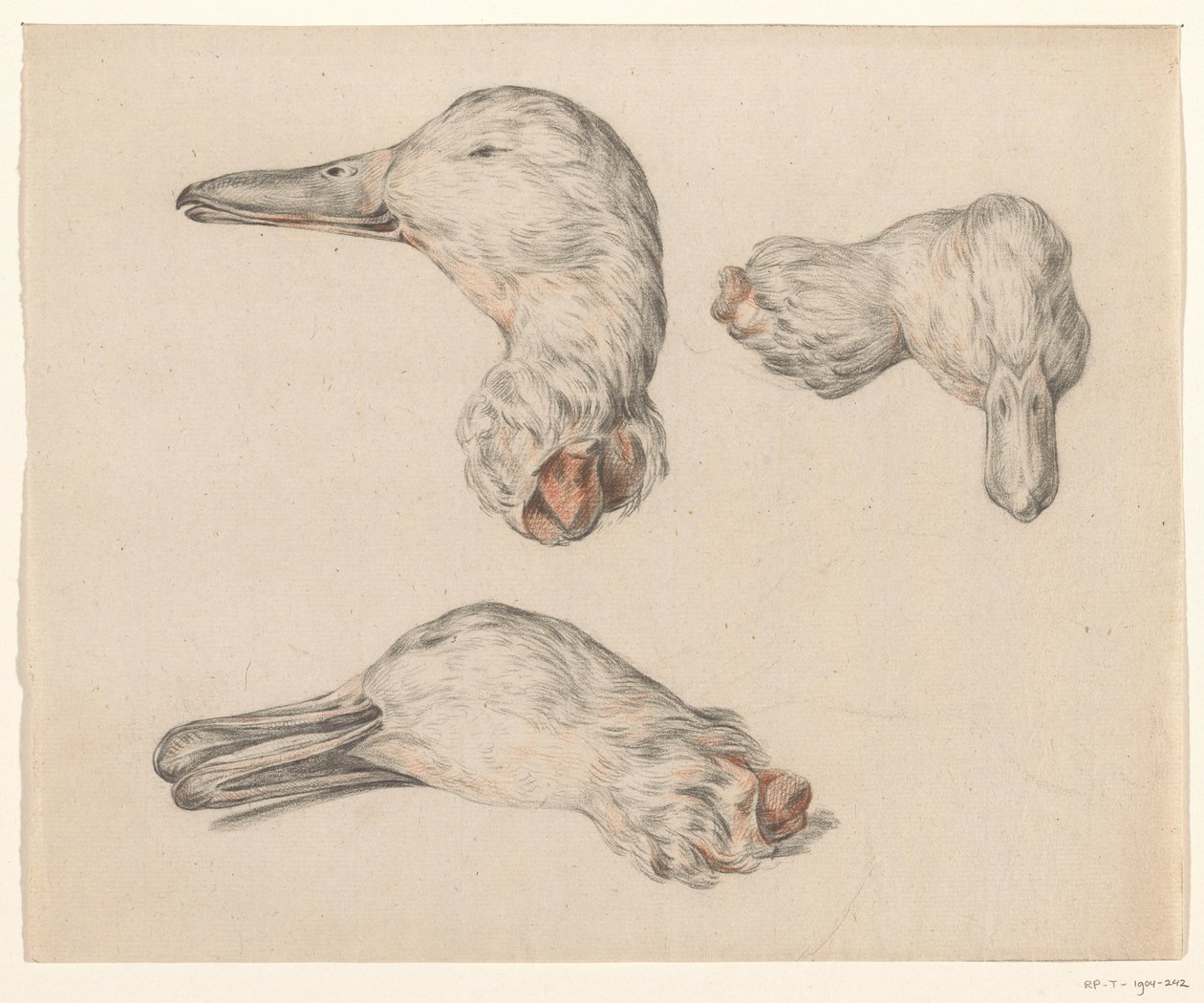 Cabeza cortada de un pato de Jean Bernard