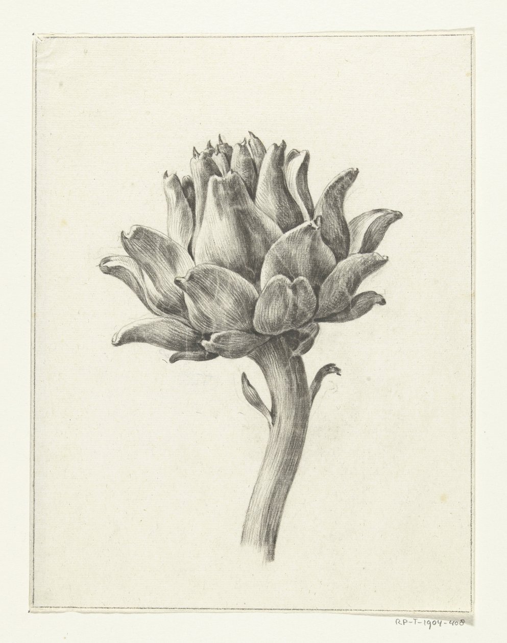 Alcachofa de Jean Bernard