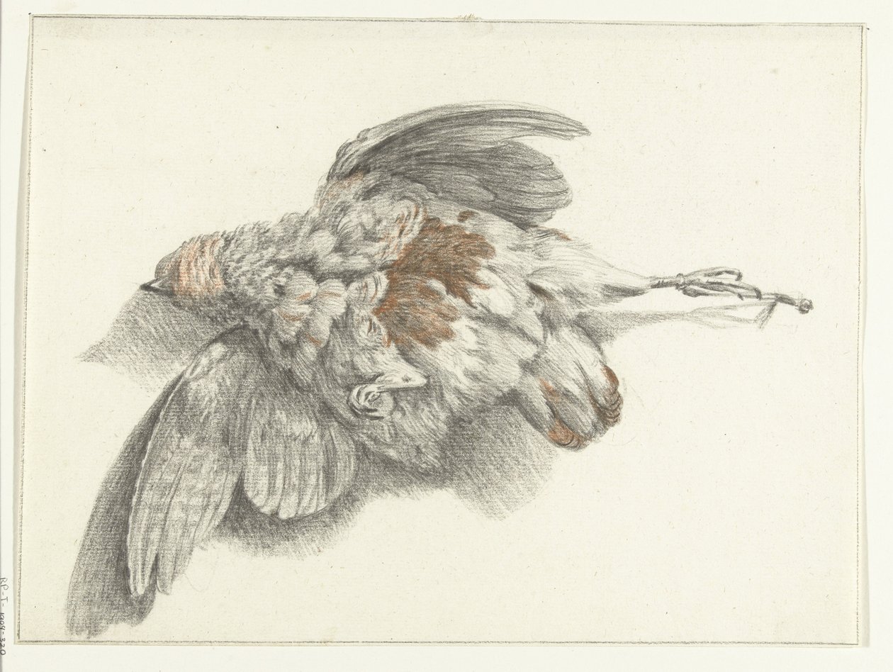 Aves de corral, colgadas en la pared. de Jean Bernard