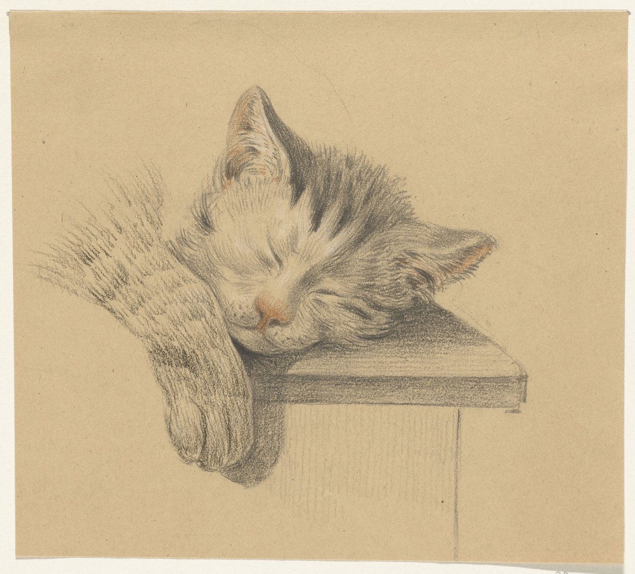 Cabeza y pata de un gato dormido de Jean Bernard