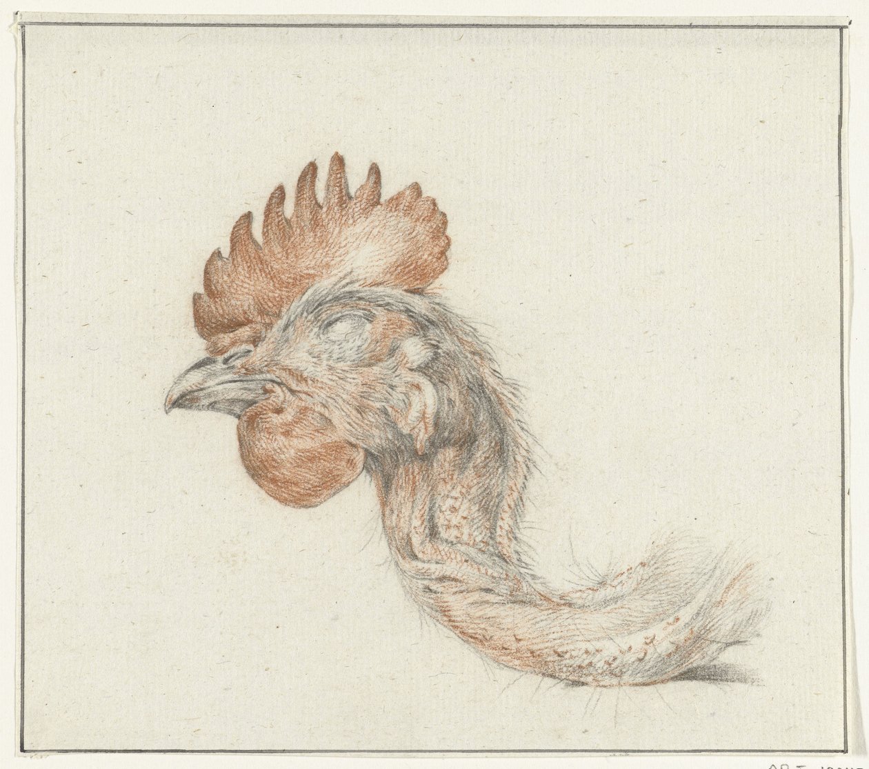 Cabeza de un pollo muerto de Jean Bernard