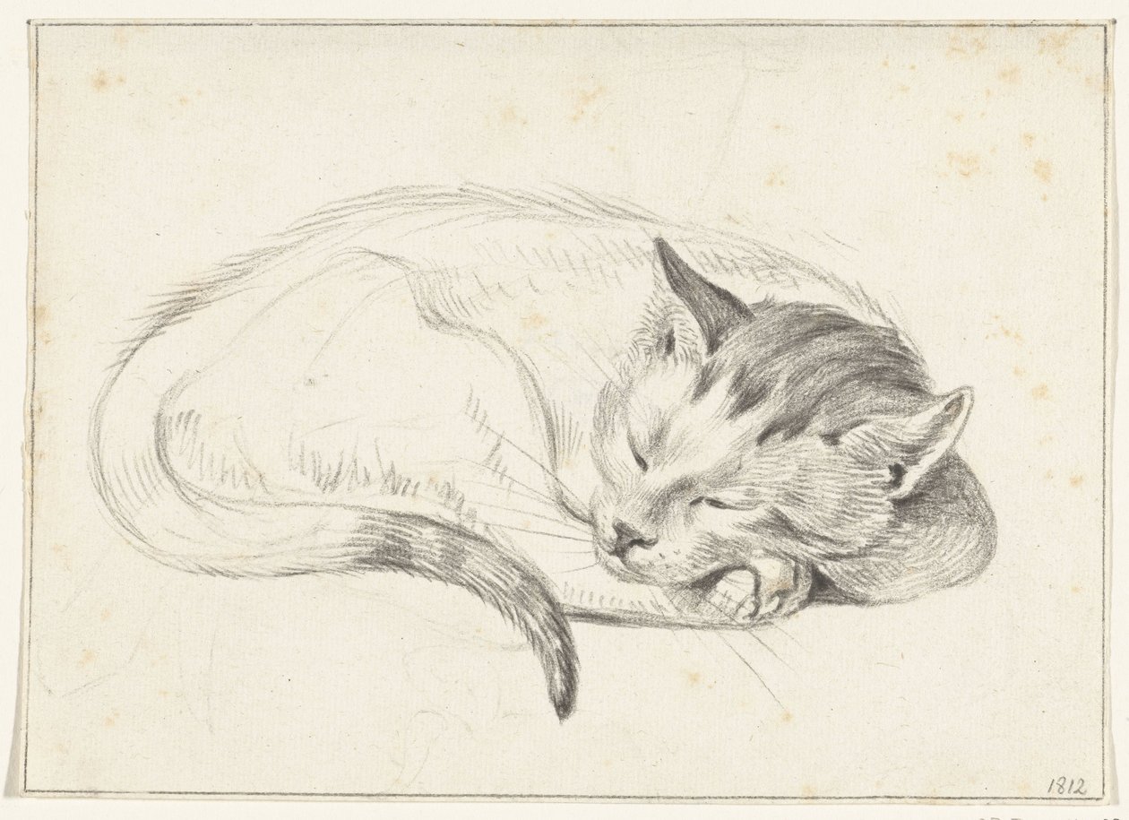 Gato dormido enrollado de Jean Bernard