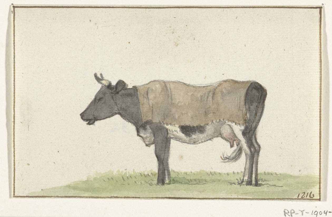 Vaca de pie con manta, a la izquierda de Jean Bernard