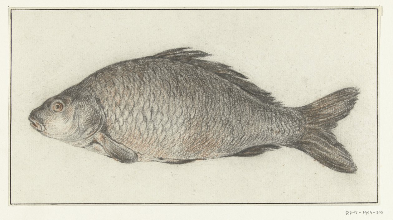 Vis de Jean Bernard