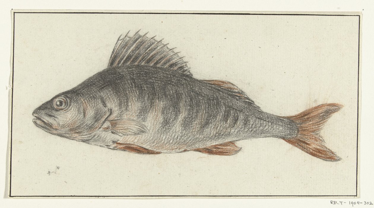 Vis de Jean Bernard