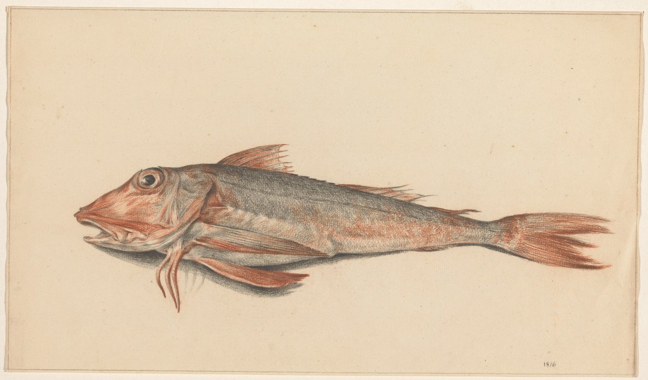 Vis de Jean Bernard