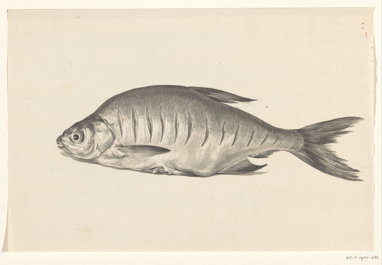 Pescado, acostado a la izquierda, con muescas. de Jean Bernard