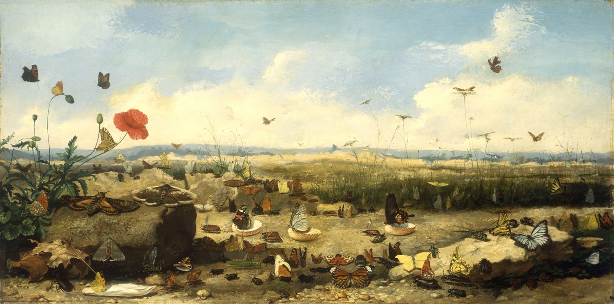 La carrera de las mariposas, 1872 de Jean Eugene Doneaud