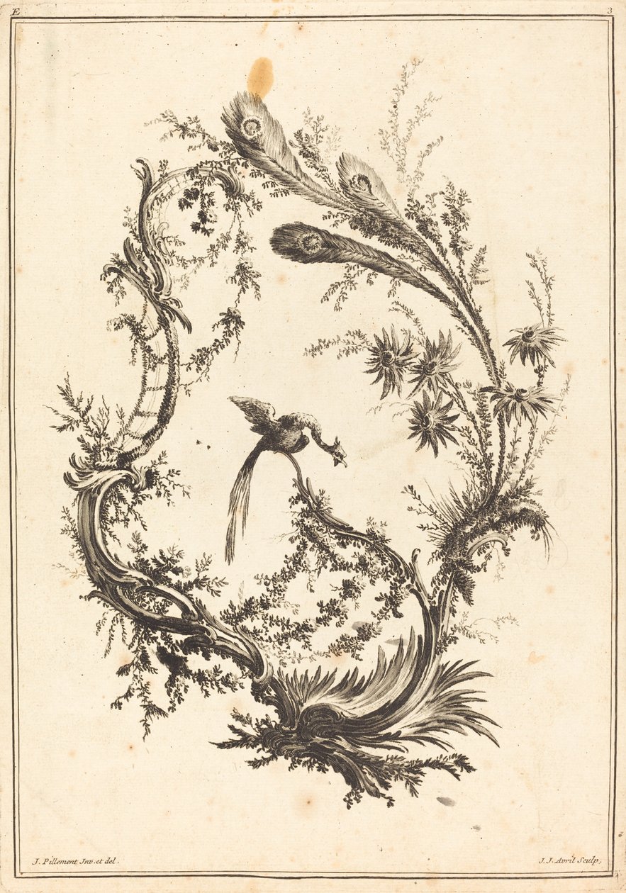 Ornamento con un pavo real de Jean Jacques Avril