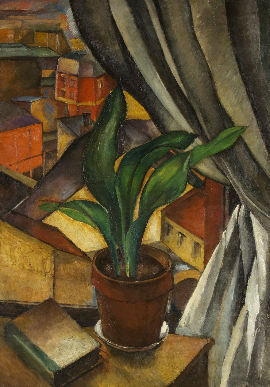 La Aspidistra, c.1912 de Jean Marchand