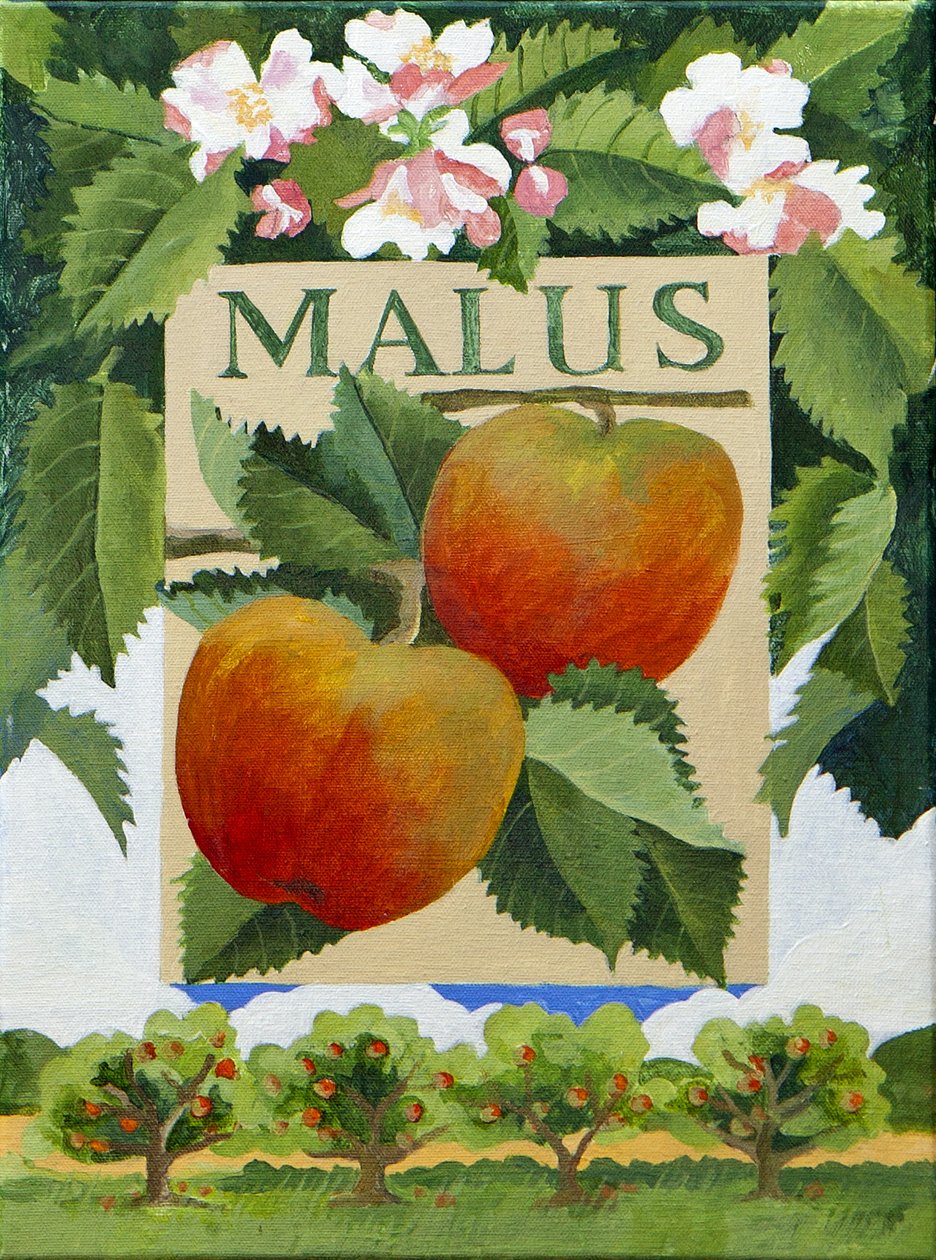 Malus (manzana), 2014 (acrílico sobre lienzo) de Jennifer Abbott