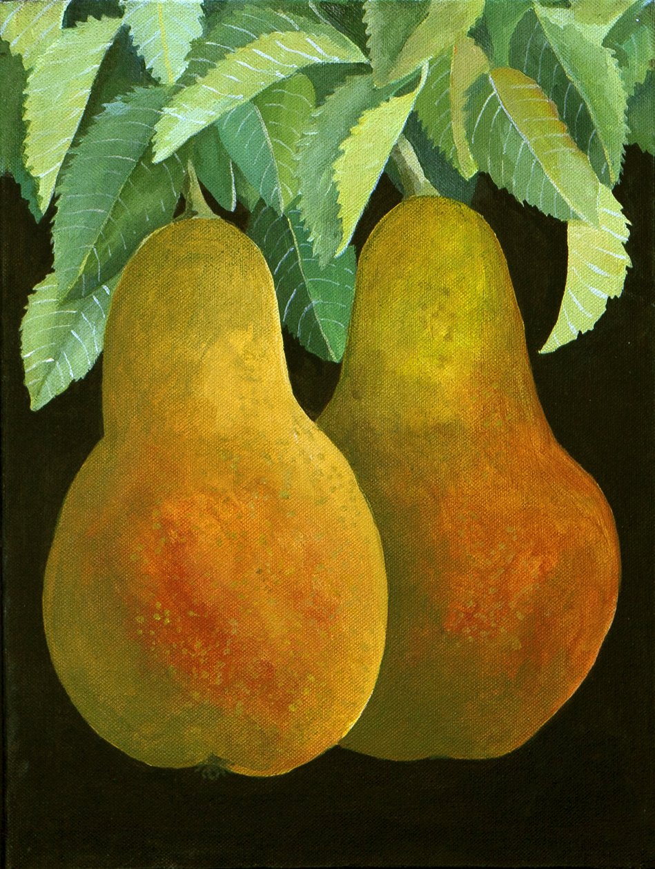 Peras, 2014 (acrílico sobre lienzo) de Jennifer Abbott