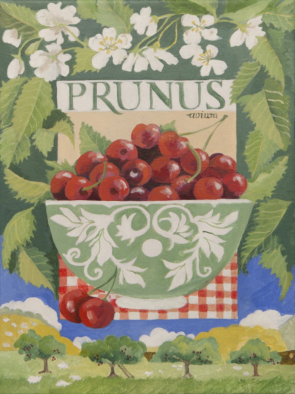 Prunus avium (acrílico) de Jennifer Abbott