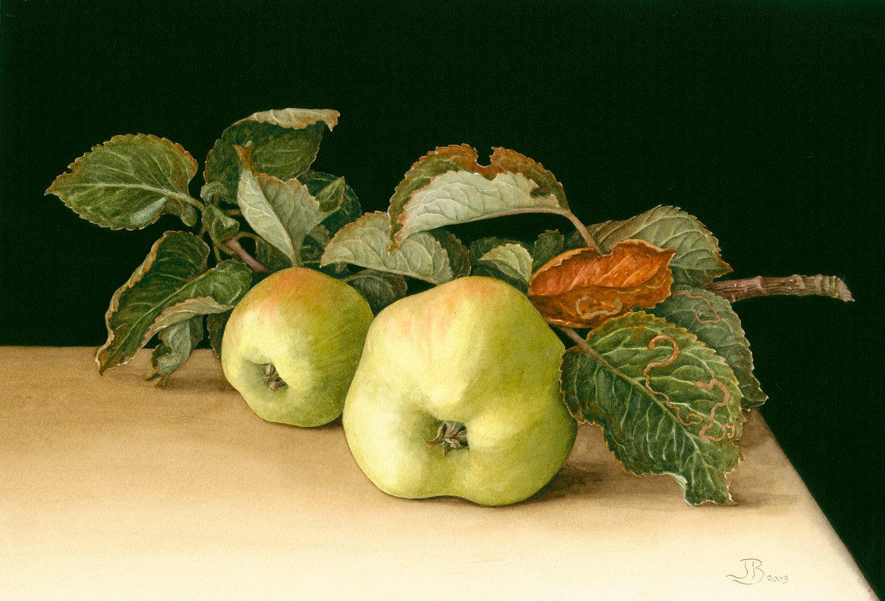 Bramleys de Jenny Barron