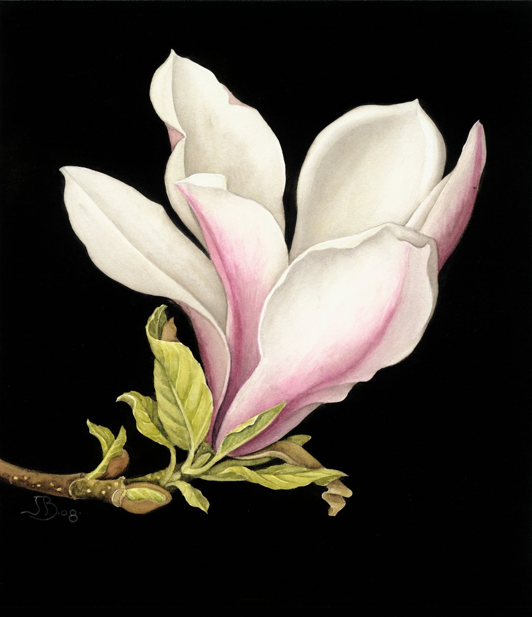 Magnolia de Jenny Barron
